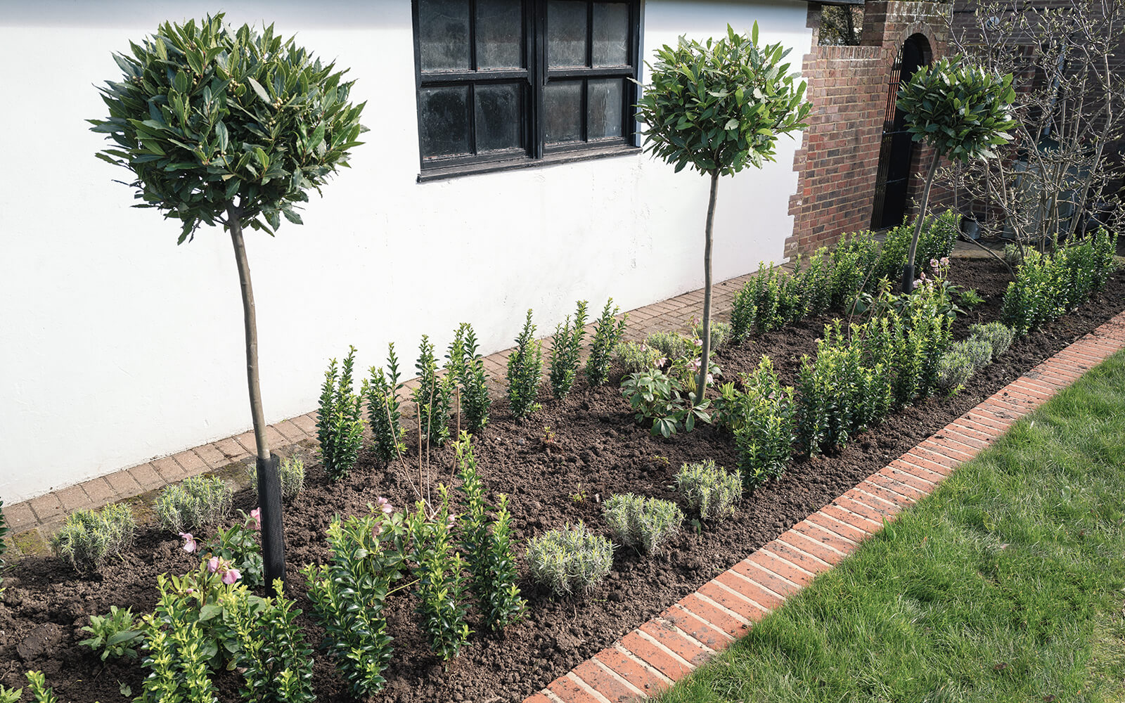 Smart Cut Landscaping Work